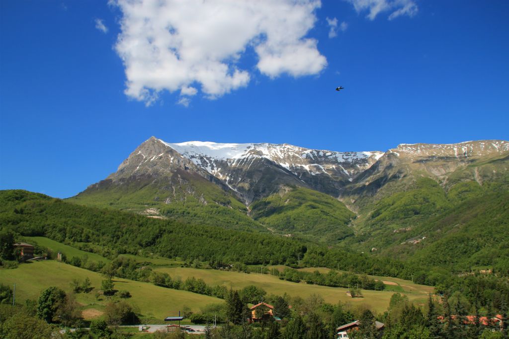 Monte перевод